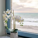 Strandburg Meeresidylle Mit Meerblick * Fehmarn